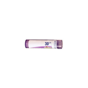 Boiron thuya occidentalis dose 30CH