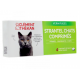 CLEMENT T STRANTEL VERM CHAT BTE 4