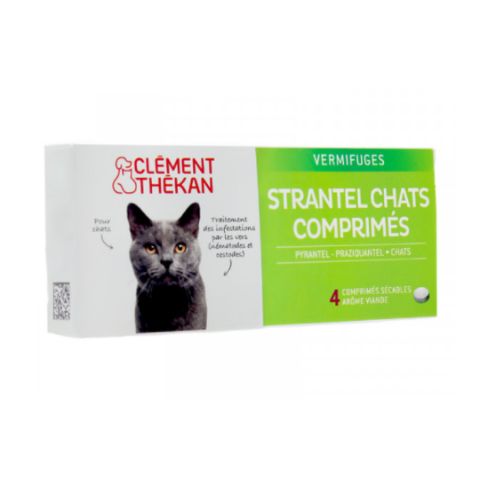 CLEMENT T STRANTEL VERM CHAT BTE 4
