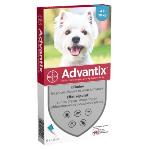 ADVANTIX Petit Chien 4-10KG Pipettes boite de 6