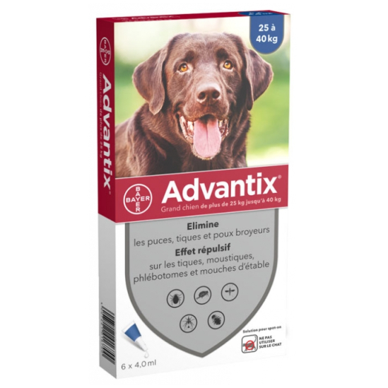 ADVANTIX Grand Chien 25-40KG Pipettes boite de 6