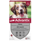 Bayer Advantix Chien Moyen 10 à 25kg 6 pipettes anti puces et tiques